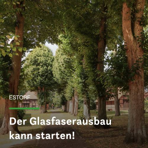 DBN Aktuelles Meldung Estorf Quote erreicht